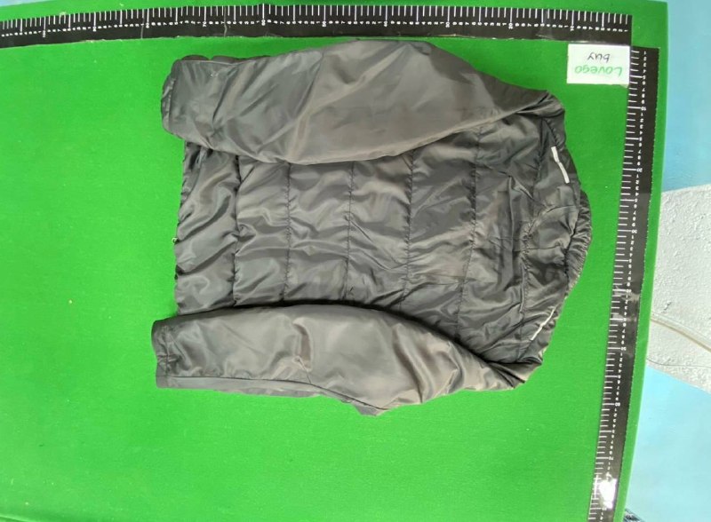 Veste Nike Therma-FIT 2